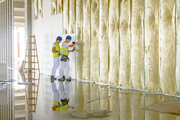 Best Insulation Inspection Services  in Saugatuck, CT